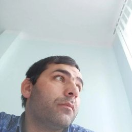 , 41, 