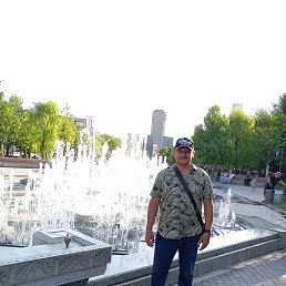 , 51 , 