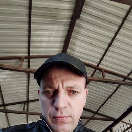  , 41, 