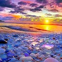 ���� ������� ���� 202, ������ - ��������� 27 ���� 2025