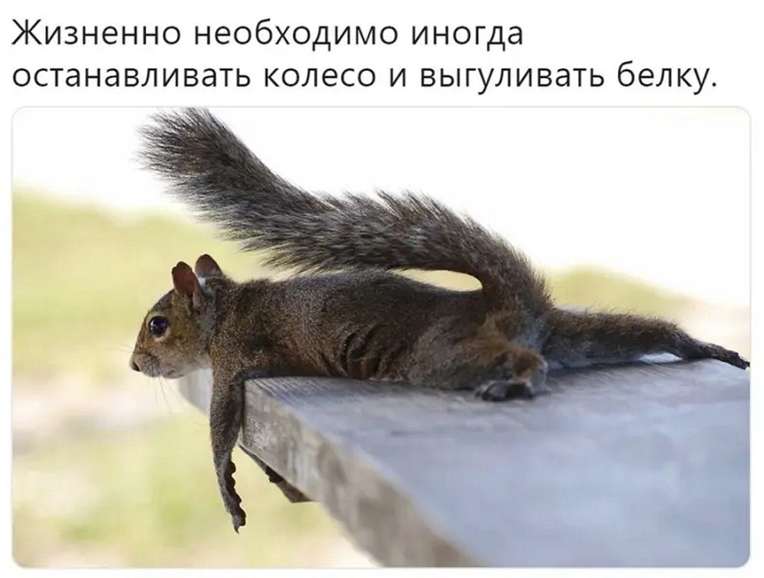 ☆������ �����☆ - 18 ������� 2025 � 16:20