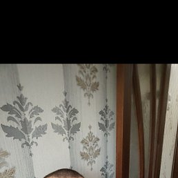 , 45, 