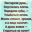 ���� ����������, ������ - ��������� 4 ������ 2025