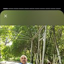  , -, 47  -  13  2025    