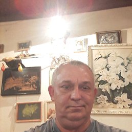 , 50 , 