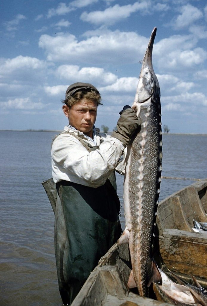     , , 1960 .