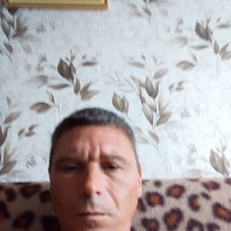 , 39, -
