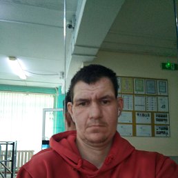 , 37, 