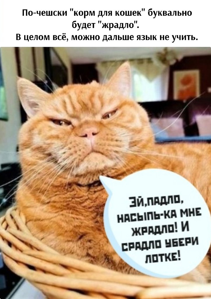       - 8  2024  12:40
