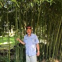 ���� ����, �������, 55 ��� - ��������� 18 ������� 2025 � ������ ���� ����������