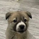 ���� M���� *, ������ - ��������� 2 ������ 2026 � ������ ���� ����������