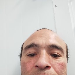 ����, 37 ���, ������