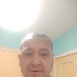 ���� �������, ������������, 44 ���� - ��������� 8 ������ 2026