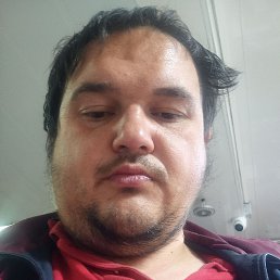 , 33 , 