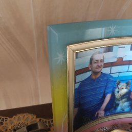 , 51 , 
