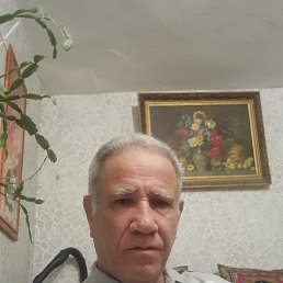 , 65, 
