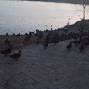  ,  , 51  -  27  2023    