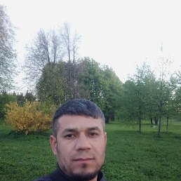 , 29, -