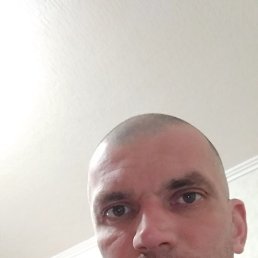 , 41, 
