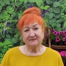 �������, ������, 66 ���