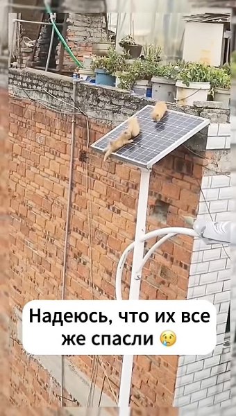    . - 2