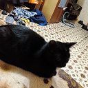 ���� �����, �����������, 41 ��� - ��������� 16 ��� 2026 � ������ ���� ����������