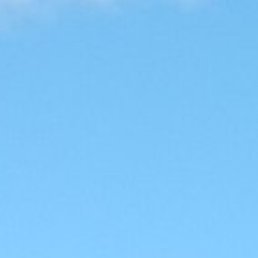 �������, ������ ��������, 49 ���