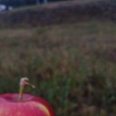 ���� �����, �������, 42 ���� - ��������� 6 �������� 2025