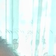 ��������, 50 ���, ������