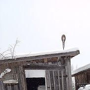 ���������, 64 ����, ������