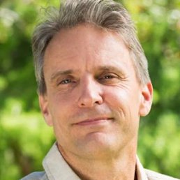 ������, ����������, 55 ���