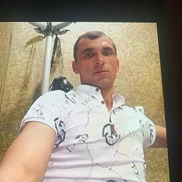 ����, ���������, 37 ���