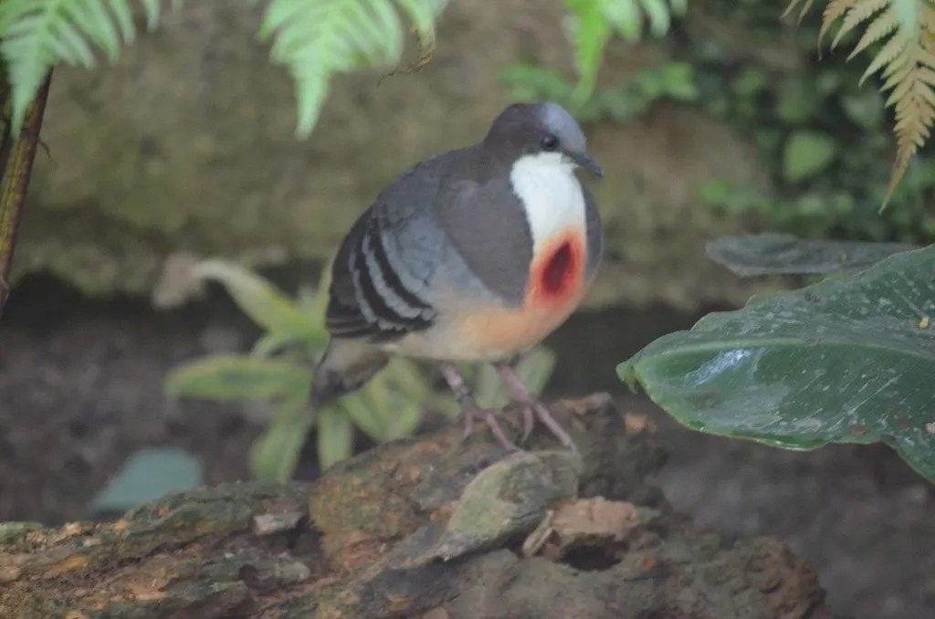    ! ,     !    , .   ... - 4