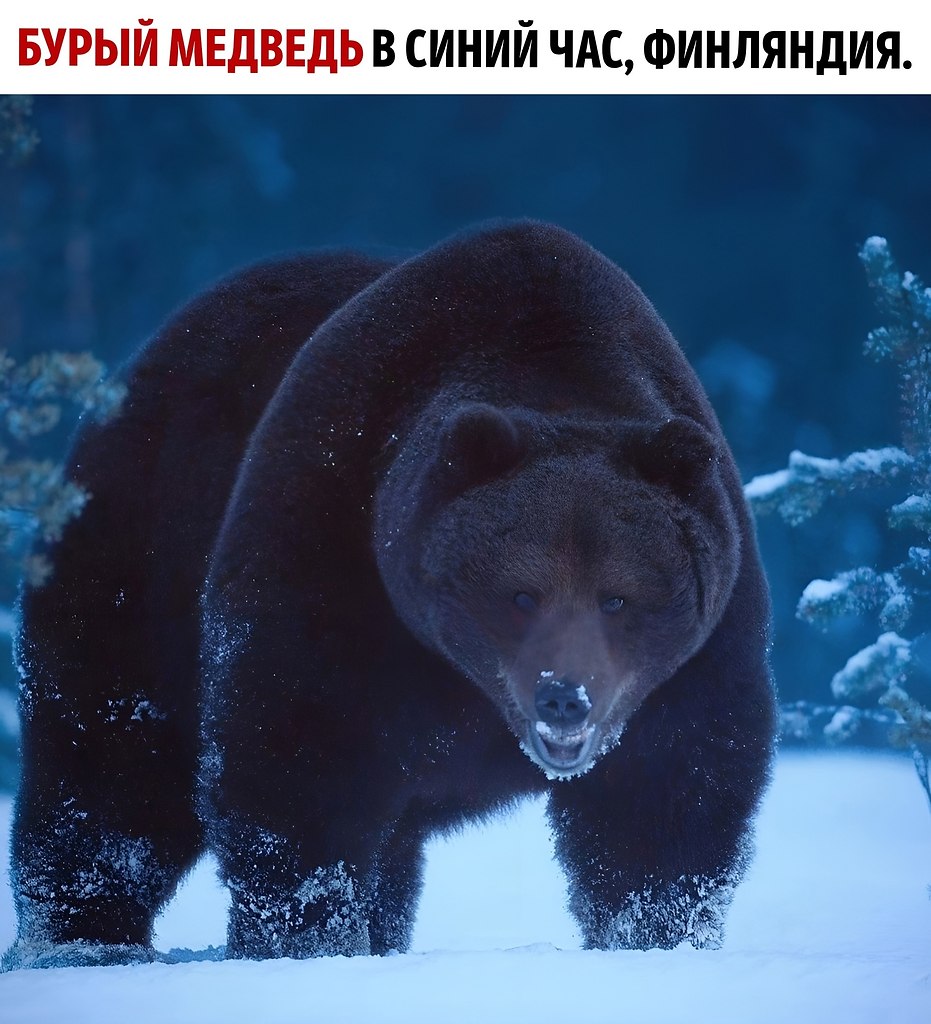   -     ,        ...