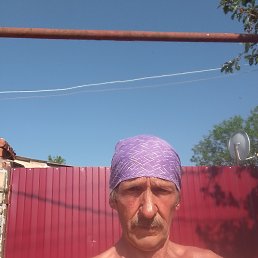  , 61 , 