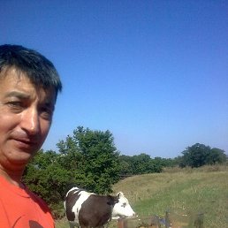 ������, ��������, 59 ���