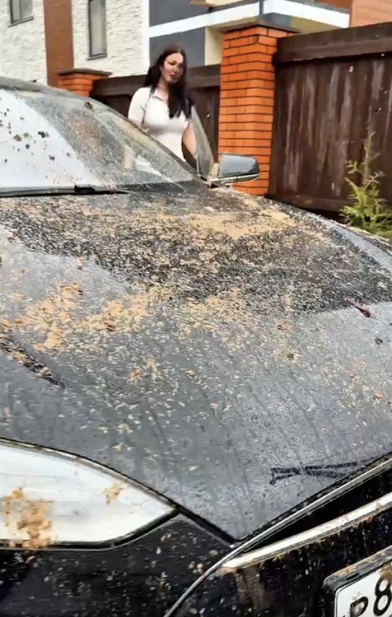 � �����, �� ���� �� ������� 1 ������ - 2
