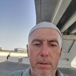 , 52, 