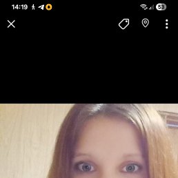 , 33, 