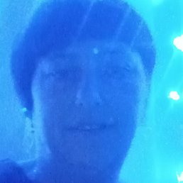 ����, ����, 41 ���