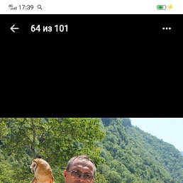 , 54, 