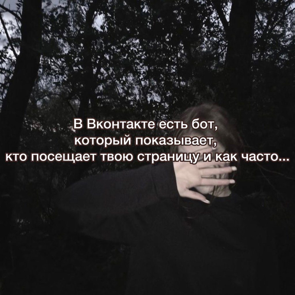 . - 11  2025  10:04 - 2