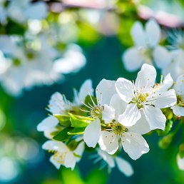 ���� ����, ����� - ��������� 31 ���� 2025