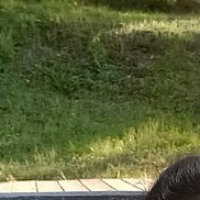 , 40 , 
