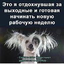 ���� ������, ������-��-����, 52 ���� - ��������� 13 ���� 2026