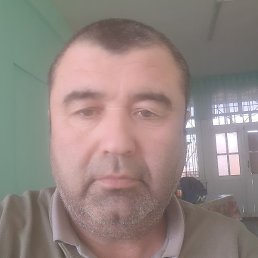 �����, ������, 50 ���