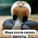 ���� �������, ����, 50 ��� - ��������� 26 ������ 2024