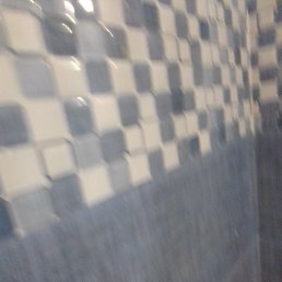 Priya, ����, 20 ���