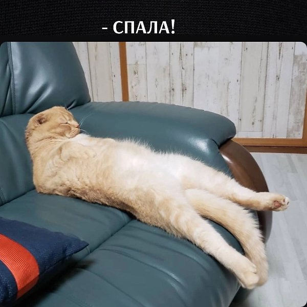       - 3  2025  17:30 - 4
