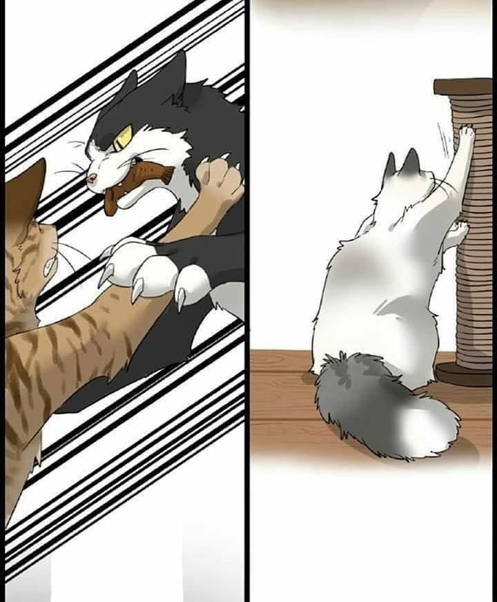    ) - 3